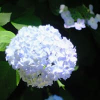 5End