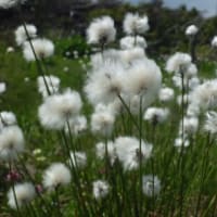 ６月　行くぜ！その２