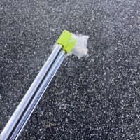 今日は3個拾いました