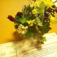 きれいなお花/桃太郎がんメディカルカフェ