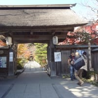 みちのく旅　（７）　中尊寺から松島へ