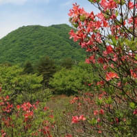 榛名富士とレンゲツツジ