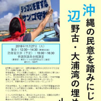【集会＆政府交渉】1１月２７日 沖縄の民意を踏みにじる辺野古・大浦湾の埋め立てを止めよう！