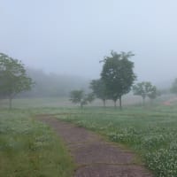 霧の朝　　　　雑感