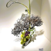 「日本いけばな芸術展 第１次展」／日本橋高島屋