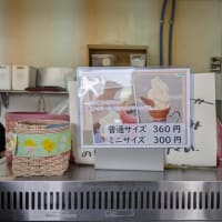 田村農園「たまご園」きみソフト
