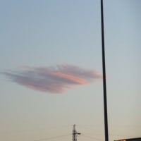 花壇づくりに魅せられて・・