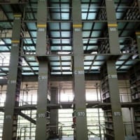バスコンセロス図書館