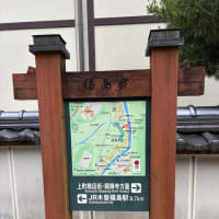 今日も雨が…