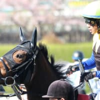 音の行方