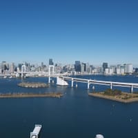 １月のお台場：フジテレビ本社ビル・球体展望室から眺める東京港周辺　ＰＡＲＴ２
