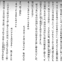 田中利典師「吉野山と嵐山」（5）吉野山下千本・嵐山の桜を京都に移植し､そこを「嵐山」と名づけた！