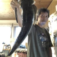 美味しい魚、好き