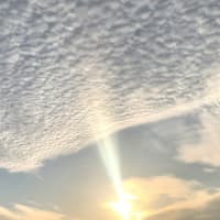 今朝の朝日と高積雲(羊雲)