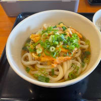 冷やしうどん