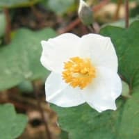 ６月　１８日