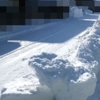 自治会の排雪作業