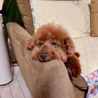 ７月６日 暑さを乗り切る