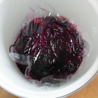 梅干し（20256/26）