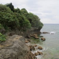 気候変動と感染症