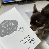 ドライフードと手作りごはん