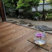 武家屋敷「埴原家」の花たち②