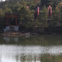紅葉、その１