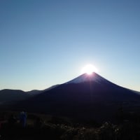 新春初登山