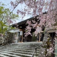 京都・奈良・広島へ　-3　（大原の春）　・・・　trip to Kyoto, Nara & Hiroshima -3