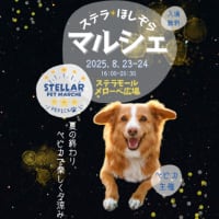 ステラほしぞらマルシェ🌟開催決定！！