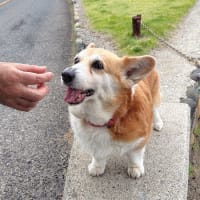 寝ながら走る・・・