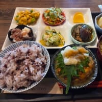 留守番してたチビ＆デカチワワです