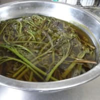 長竹で