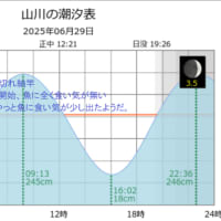 鯵釣り