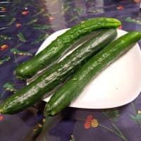 キュウリの収穫・　お父さん入院しました　２５．６/５