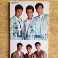 こわれる」 小川範子 1988年 - 失われたメディア-8cmCDシングル