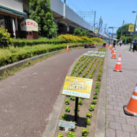 長町HACHIでランチ