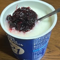 ヨーグルトにローゼルジャム