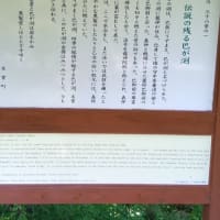 今日も暑くなりそう