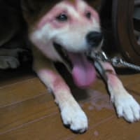 第2510話　基準