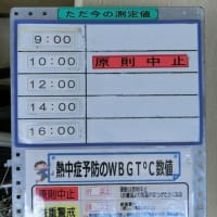今日は「土曜日グループのテニス」です