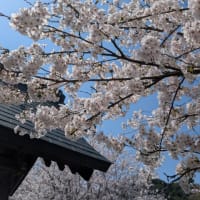 納得が出来るまで聞いてください。