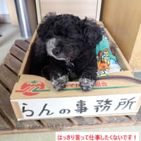 シャワーの後は