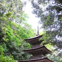 小松市那谷寺②寺名由緒と石山寺の奇岩との差異！