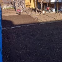 今日は畑に元肥を入れて耕しました