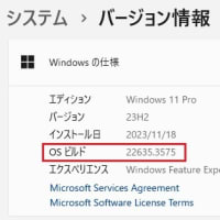 Windows 11 Beta チャンネルに 累積更新 (KB5037862) が配信されてきました。