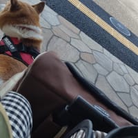 ９時に行って35番