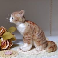 羊毛っこ　猫さん♪生まれました(*^^*)