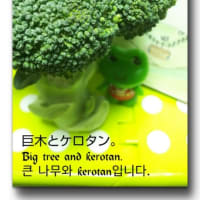 #プロローグ#小説#多言語ブログ#失われたエデンを探せ！#地図に無い場所でのアドベンチャー#宣伝でーす！