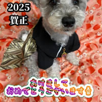 2025年あけましておめでとうございます
